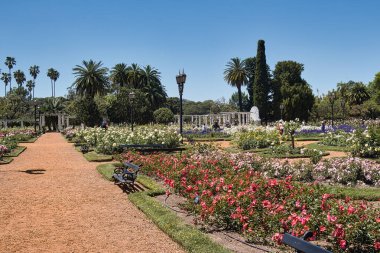 Buenos aires, Arjantin - 27 Ekim 2022: Rosendal de Palermo botanik parkında geniş çakıl yolları, sıraları ve kırmızı gülleri olan insanlar