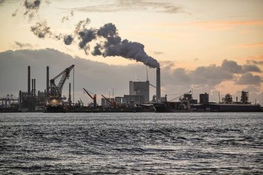 Rotterdam, Hollanda - 22 Kasım 2021: Limandaki gemilerin konteynırlarını boşaltmak için devasa yarıdan ve tamamen otomatik vinçlerden oluşan hatlar
