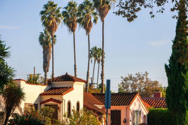 Los Angeles, ABD - 25 Ekim 2009: Güneşli bir günde Los Angeles 'ın huzurlu bir mahallesinde fayanslı çatıları olan antika evler üzerinde parlak palmiye ağaçları kulesi.