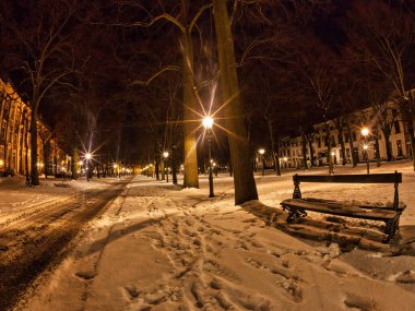 Den Haag, Hollanda - 20 Aralık 2009: Den Haag 'da karla kaplı bir sokağa gece düştü. Hollanda 'daki yol ağaçlarını ve binaları sokak lambaları aydınlatıyor.