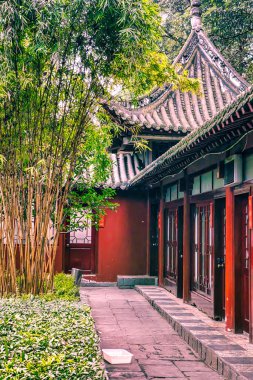 Chengdu, Çin - 28 Kasım 2009: Bambu ağaçları huzurlu bir öğleden sonra boyunca Çin 'in Chengdu bahçesindeki geleneksel binalara giden sakin bir yol üzerindedir..