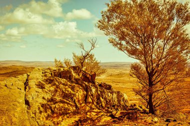 Altın renkler Kırık Tepe 'nin manzarasını gün boyunca engin mavi gökyüzünün altında kaya oluşumları ve ıssız ağaçlarla doldurur..