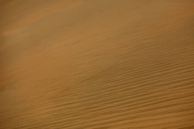 Doha, Katar - 28 Ocak 2010: Muazzam büyüklükteki altın çöl kumları öğleden sonra Doha Katar 'da güneşin altında pürüzsüz dalgalanan desenler sergiliyor.