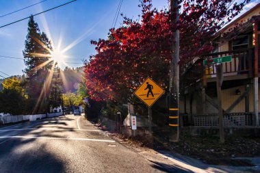 Guerneville, ABD - 12 Kasım 2011: Guerneville California 'da güneşli bir sabah huzurlu bir caddede renkli ağaçlar ve yaya geçidi tabelasını gösteriyor.