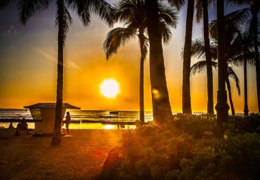 Honolulu, ABD, 06 Aralık 2012: İnsanlar, Waikiki sahilinde, palmiye ağaçları ve okyanusun nazik dalgalarıyla çevrili sakin bir günbatımının tadını çıkarıyorlar..