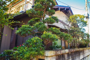 Narita, Japonya - 5 Aralık 2012: Tokyo 'da yemyeşil çimenlik ve ağaçlarla çevrili geleneksel bir ev..