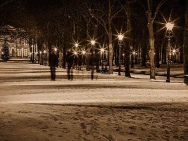Den Haag, Hollanda - 20 Aralık 2009: İnsanlar gece vakti karla kaplı bir patika boyunca yürürler. Sokak lambaları parkı aydınlatıyor.