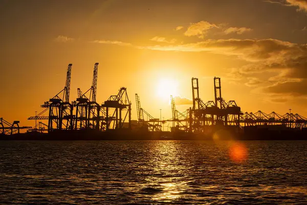 Rotterdam, Hollanda - 22 Kasım 2021: Turnalar Rotterdam limanındaki konteynırları gece gökyüzünün altında etkili bir şekilde boşaltıyor