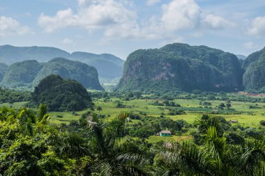 Vinales, Küba - 10 Temmuz 2018: Verimli yeşil vadiler ve dramatik kireçtaşı tepeleri Vinales 'te çarpıcı bir zemin oluşturdu Küba' daki UNESCO Dünya Mirasları sahası.