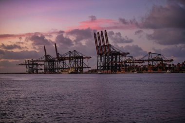 Rotterdam, Hollanda - 22 Kasım 2021: Verimli deniz lojistiği vurgulanırken Rotterdam limanındaki konteyner gemilerini boşaltmak için büyük vinçler çalışıyor.