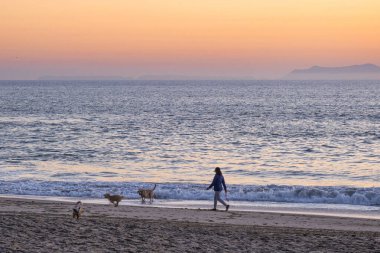 Oxnard, ABD - 21 Şubat 2020: Ventura California sahilinde köpeklerle sakin bir günbatımı yürüyüşünün keyfini çıkarırken dalgalar yavaşça kıyıya vuruyor.