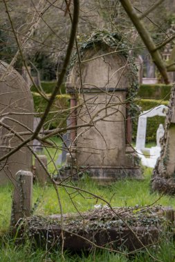 Bristol, Birleşik Krallık - 10 Mart 2020: Ağaçların arasında tünemiş eski mezar taşlarıyla dolu gizemli bir mezarlığı keşfetmek.