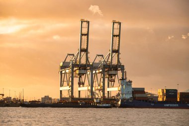Rotterdam, Hollanda - 22 Kasım 2021: Otomatik vinçler, Rotterdam limanındaki bir gemiden akşam ışığı altında konteynırları boşaltmak için etkili bir şekilde çalışıyor.