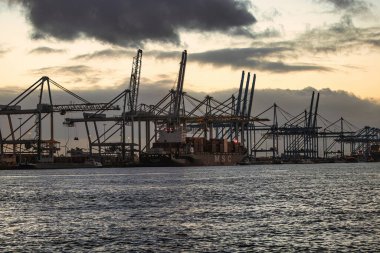 Rotterdam, Hollanda - 22 Kasım 2021: Limandaki gemilerin konteynırlarını boşaltmak için devasa yarıdan ve tamamen otomatik vinçlerden oluşan hatlar