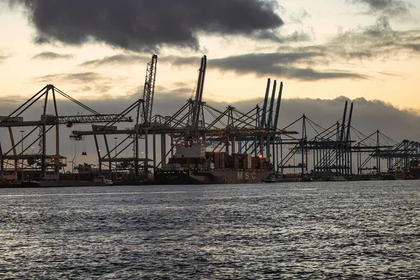 Rotterdam, Hollanda - 22 Kasım 2021: Limandaki gemilerin konteynırlarını boşaltmak için devasa yarıdan ve tamamen otomatik vinçlerden oluşan hatlar