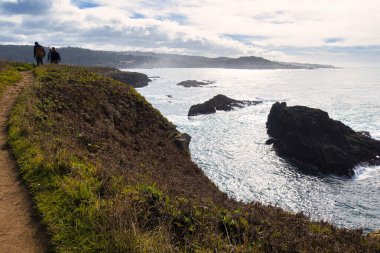 Mendocino, ABD - 16 Şubat 2020: Yürüyüşçüler Mendocino 'nun kayalık kıyı şeridine ve kayalıklara bakan manzaralı bir yolda ilerliyorlar