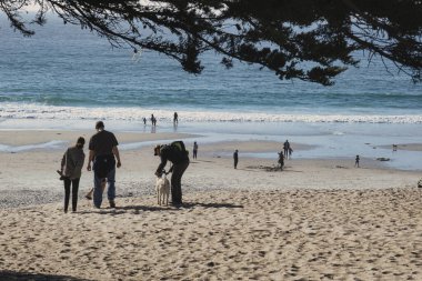 Carmel, ABD - 19 Şubat 2020: İnsanlar Carmel California 'daki kumlu plajda güneşli bir günün ve güzel okyanus manzarasının tadını çıkarıyorlar.