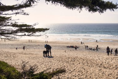 Carmel, ABD - 19 Şubat 2020: İnsanlar çarpıcı sahil manzarasının tadını çıkarırken güzel Carmel plajı boyunca bir köpekle yürüyorlar..