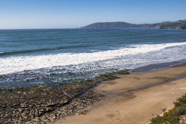 Pismo Beach, ABD - 19 Şubat 2020: Pismo Sahili 'nde sular çekildiğinde kayalar ve gel-git havuzları doğal güzelliklerle dolu gelişen bir Pasifik ekosistemini gözler önüne seriyor.