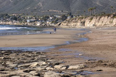 Pismo Plajı, ABD - 19 Şubat 2020: Pismo Sahili 'nde dalgalar çekildiğinde kayalık oluşumlar farklı deniz yaşamlarını gözler önüne sererken bir insan bir köpekle sahil boyunca yürür..
