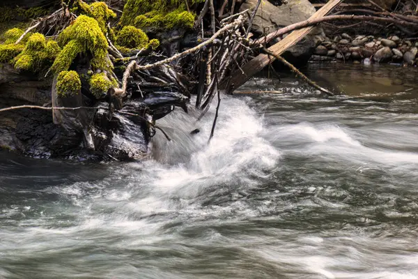 Berrak su, Garberville California 'da sakin bir sekoya ormanında dolaşır. Küçük dalgalar yaratır ve nazikçe düşer..