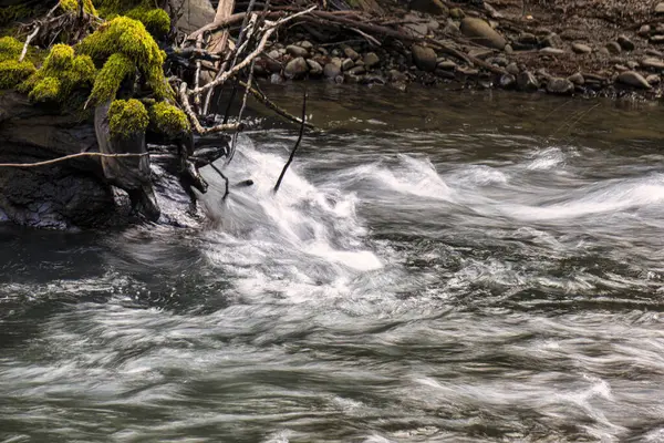 Garberville 'deki sekoya ağaçlarıyla çevrili tenha bir deredeki küçük bir şelalenin üzerinden hızla akan sular..