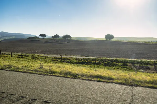 Üzüm bağları ve Pismo Sahili yakınlarındaki şarap kasabasının yuvarlanan tepeleri arasında manzaralı bir gezintinin tadını çıkarın.