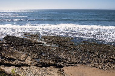 Pismo Plajı, ABD - 19 Şubat 2020: Rocky manzarası Pismo Sahili California 'da sular çekildiğinde çeşitli deniz yaşamı ve gelgit havuzlarını gösteriyor