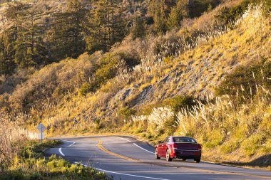 Big Sur, ABD - 19 Şubat 2020: Büyüleyici Big Sur kıyı şeridi boyunca sürmek Pasifik Okyanusu 'nun nefes kesici manzaralarını ve dramatik manzaraları gözler önüne seriyor.