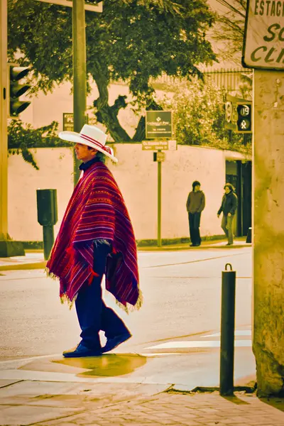 Lima, Peru - 14 Ağustos 2010: Geleneksel Perulu bir adam Miraflores Lima sokaklarında canlı bir panço ve geniş kenarlı bir şapka giyerek yürüyor.