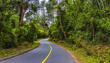 Puerto Varas, Şili - 10 Kasım 2014: Viraj yolu 10 Kasım 2014 tarihinde Şili 'nin güneyindeki Puerto Varas yakınlarındaki aktif Osorno Volkanı' na uzanır..