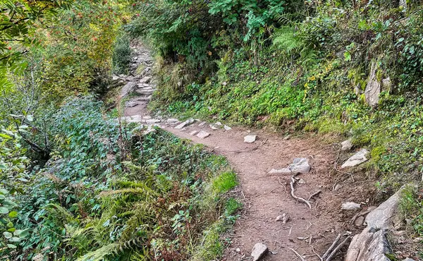 Dağlarda kayalıkları olan bir yürüyüş parkuru.
