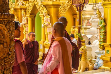 Yangon, Myanmar - 4 Aralık 2012: Rahipler Yangon Myanmar 'da süslü heykeller ve altın mimariyle çevrili canlı bir tapınakta sohbet ediyorlar..