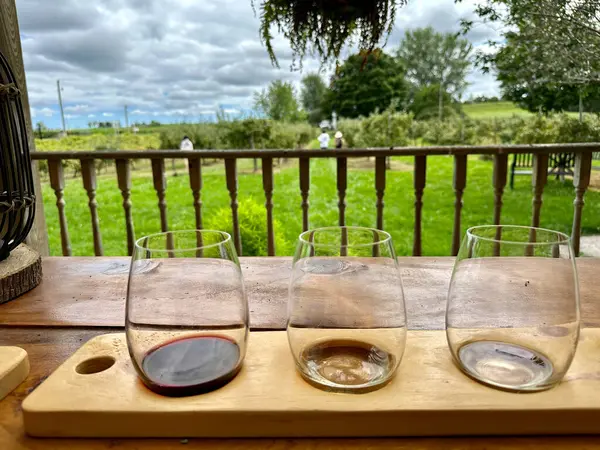 Port Perry, Kanada - 13 Ağustos 2023: Konuklar, Port Perry 'deki bir şaraphanede şarap tatma deneyimi sırasında şarap seçiminin tadını çıkarıyorlar..