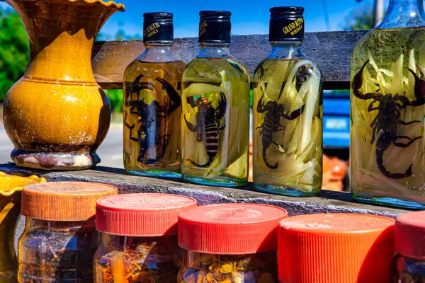 Bago, Myanmar - 02 Aralık 2012: Myanmar 'da parlak mavi gökyüzü altında korunmuş numune şişeleri yerel gelenekleri sergiliyor.