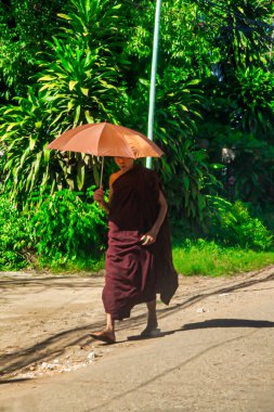 Bago, Myanmar - 02 Aralık 2012: Myanmar 'da yemyeşil bir ortamda turuncu bir şemsiye ile korunan bir keşiş huzur içinde yürür..