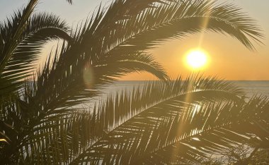 idyllic tropical sunset with palm trees and ocean