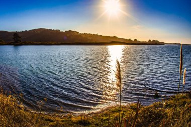 Bodega Körfezi, ABD - 12 Kasım 2011: Bodega Körfezi 'nin sakin sularından yansıyan altın güneş ışığı doğanın güzelliğini vurguluyor.