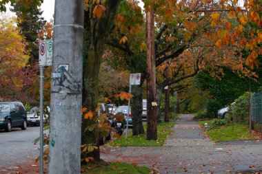 Vancouver, Kanada - 30 Ekim 2009: Renkli sonbahar yaprakları Vancouver caddesi boyunca ağaçları süslerken park halindeki arabalar bulutlu gökyüzünün altında yol kenarına diziliyor.