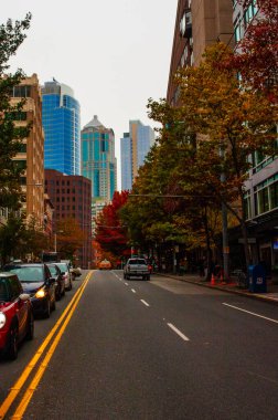 Seattle, ABD - 29 Ekim 2009: Renkli sonbahar yaprakları bulutlu bir günde arka planda yükselen gökdelenler gibi kalabalık bir Seattle caddesi çiziyor.