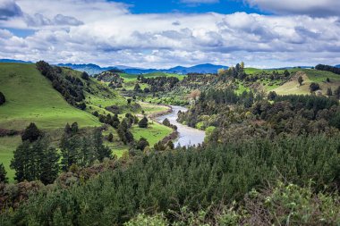 Putarua, Yeni Zelanda - 1 Ekim 2009: Yuvarlanan yeşil tepeler ve kıvrılan bir nehir Yeni Zelanda 'da güzel ve huzurlu manzaralar yaratıyor.