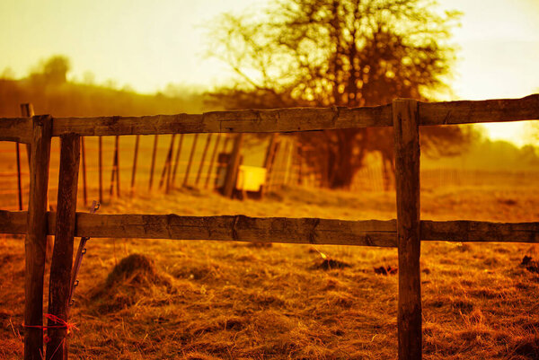 Тринг, Великобритания - 19 марта 2009 года: теплый золотой свет заполняет поле, как закат замков тени над деревянным забором и окружающими деревьями.