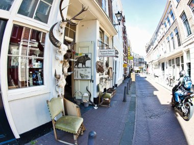 Den Haag, Hollanda - Haziran 02 2009: Den Haag mağaza vitrininde hayvan kafatasları sergilenmektedir. Gündüz vakti kaldırımlı bir caddede motosiklet sürüyor..
