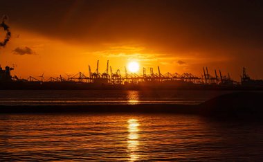 Rotterdam, Hollanda - 22 Kasım 2021: Limandaki gemilerin konteynırlarını boşaltmak için devasa yarıdan ve tamamen otomatik vinçlerden oluşan hatlar