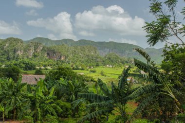 Vinales, Küba - 10 Temmuz 2018: Gür yeşil tepeler ve ikonik tütün sahaları, Küba 'daki UNESCO Dünya Mirası sahasının büyüleyici Vinales manzarası boyunca uzanıyor.