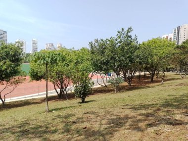 Güzelliği renklerin nüanslarıyla park et