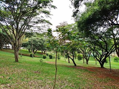 Park, insan keyfi ve eğlencesi için ya da doğal yaşam ya da doğal yaşam alanlarının korunması için ayrılmış doğal, yarı doğal ya da ekilmiş bir alandır.