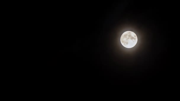 Lua Bonita Ilumina Brilhantemente Céu Noturno Através Das Nuvens Nuvens — Vídeo de Stock