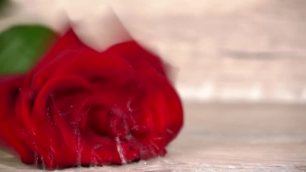 Vörös Nedves Rózsa Esik Egy Fehér Asztal Fröccsenő Csepp Vizet — Stock videók