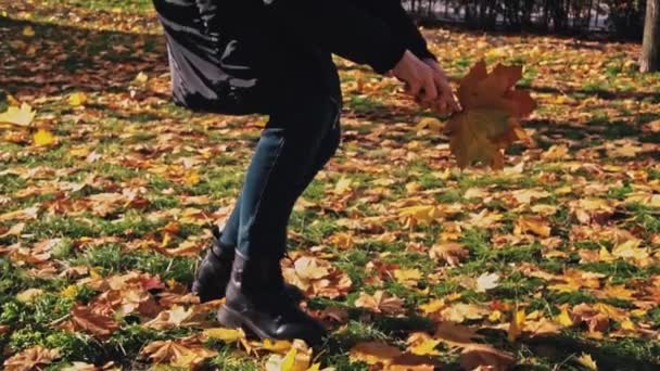 Jonge Vrouw Verzamelt Een Bos Van Gele Esdoorn Herfst Bladeren — Stockvideo